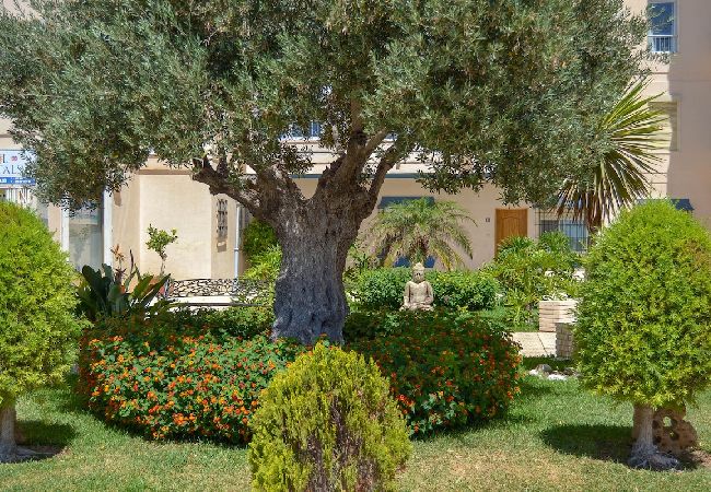 Apartment in Fuengirola - Ref: 240  Modern beautiful apartment with amazing sea views Apartment in Fuengirola - Ref: 240  Modern beautiful apartment with amazing sea views