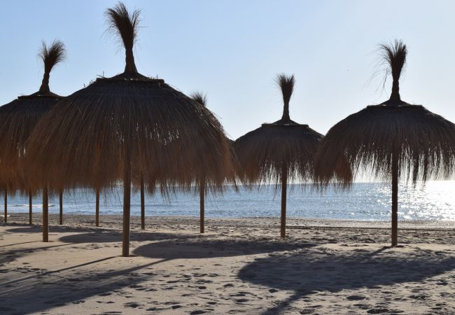 Apartment in Fuengirola - Ref: 202  Two bedroom beachfront apartment in Torreblanca  Apartment in Fuengirola - Ref: 202  Two bedroom beachfront apartment in Torreblanca