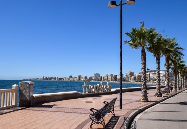 Apartment in Fuengirola - Ref: 250 Modern 1 bedroom apartment with  sea view Apartment in Fuengirola - Ref: 250 Modern 1 bedroom apartment with  sea view