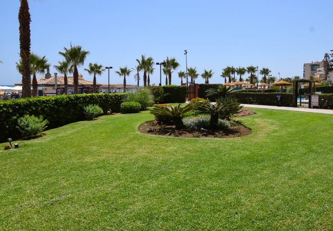 Apartment in Fuengirola - Ref: 236 Beachfront apartment with wonderful seaviews and pool in Carvajal Apartment in Fuengirola - Ref: 236 Beachfront apartment with wonderful seaviews and pool in Carvajal