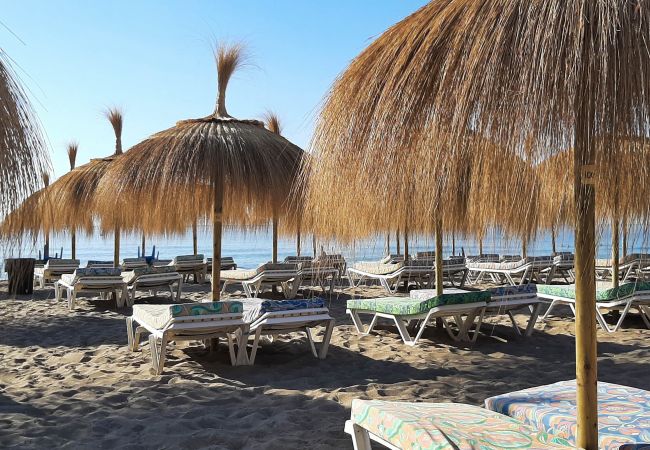 Apartment in Fuengirola - Ref: 236 Beachfront apartment with wonderful seaviews and pool in Carvajal Apartment in Fuengirola - Ref: 236 Beachfront apartment with wonderful seaviews and pool in Carvajal