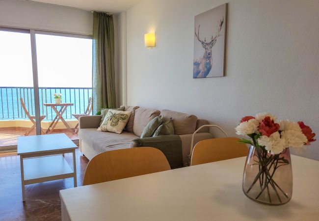 Apartment in Fuengirola - Ref: 236 Beachfront apartment with wonderful seaviews and pool in Carvajal Apartment in Fuengirola - Ref: 236 Beachfront apartment with wonderful seaviews and pool in Carvajal
