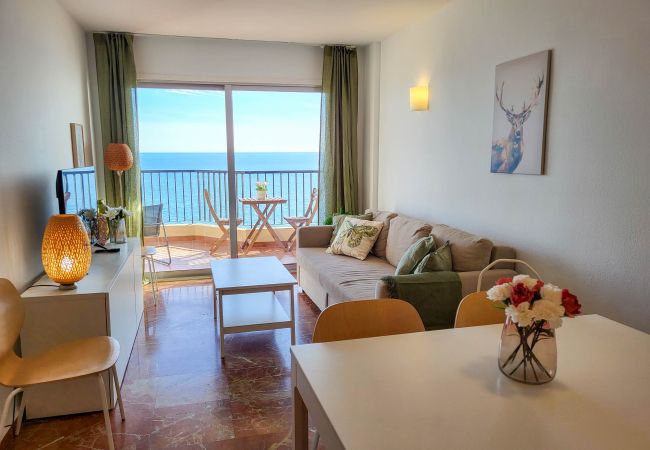 Apartment in Fuengirola - Ref: 236 Beachfront apartment with wonderful seaviews and pool in Carvajal Apartment in Fuengirola - Ref: 236 Beachfront apartment with wonderful seaviews and pool in Carvajal