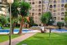 Apartment in Fuengirola - Ref: 315 City apartment with pool 2 minutes from the beach Apartment in Fuengirola - Ref: 315 City apartment with pool 2 minutes from the beach