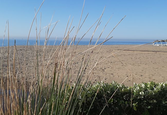 Lägenhet i Fuengirola - Ref: 271 Härlig hörnlägenhet vid stranden med havsutsikt Lägenhet i Fuengirola - Ref: 271 Härlig hörnlägenhet vid stranden med havsutsikt